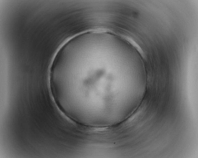 X0000091591484200709171125