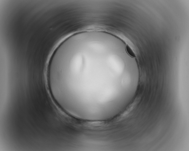 X0000091591486200709171125