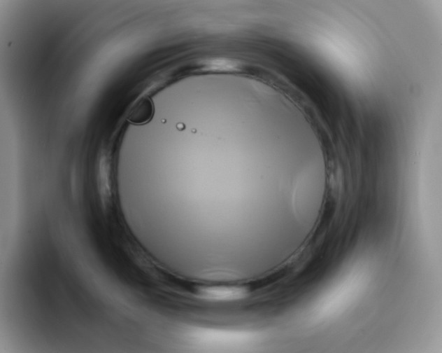 X0000091591487200709171125