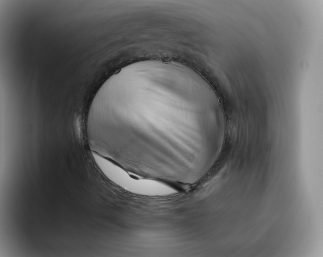 X0000091591490200709171124