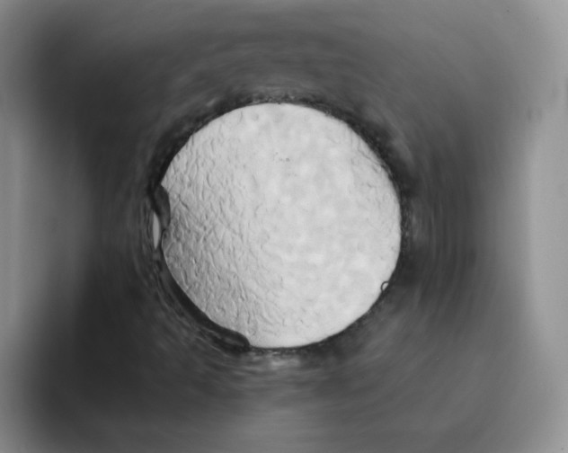 X0000091591493200709171124