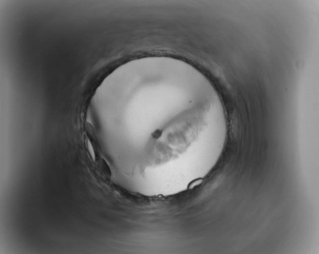 X0000091591494200709171124