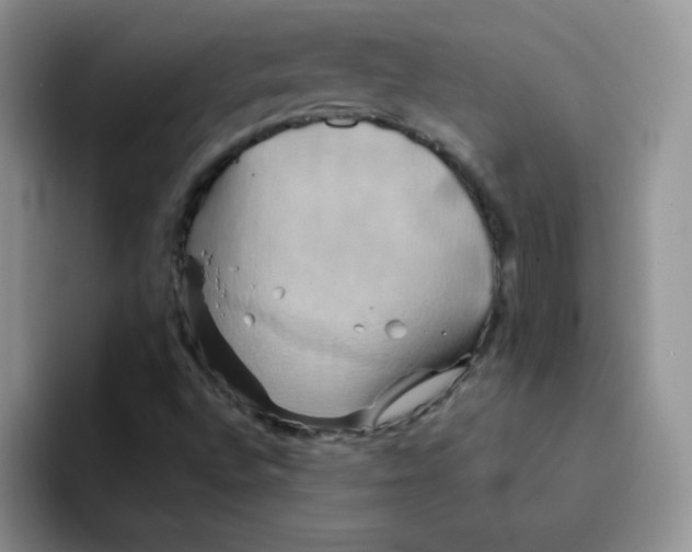 X0000091591496200709171124