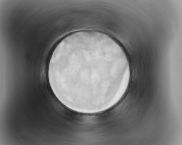 X0000091591498200709171124