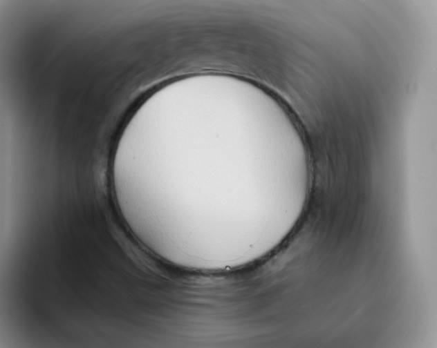 X0000091591499200709171124