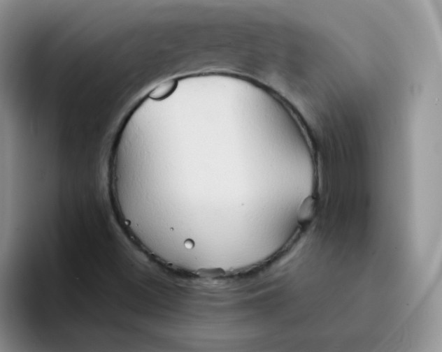 X0000091591500200709171124