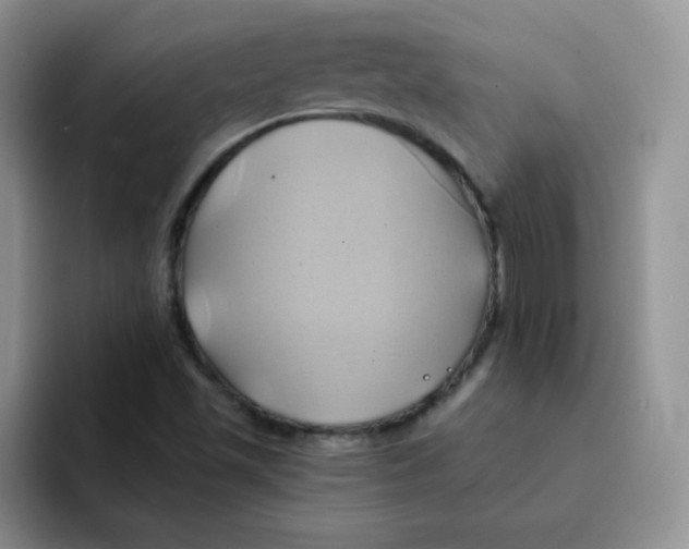 X0000091591501200709171124