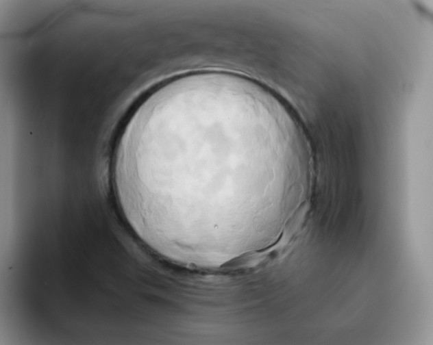 X0000091591503200709171124