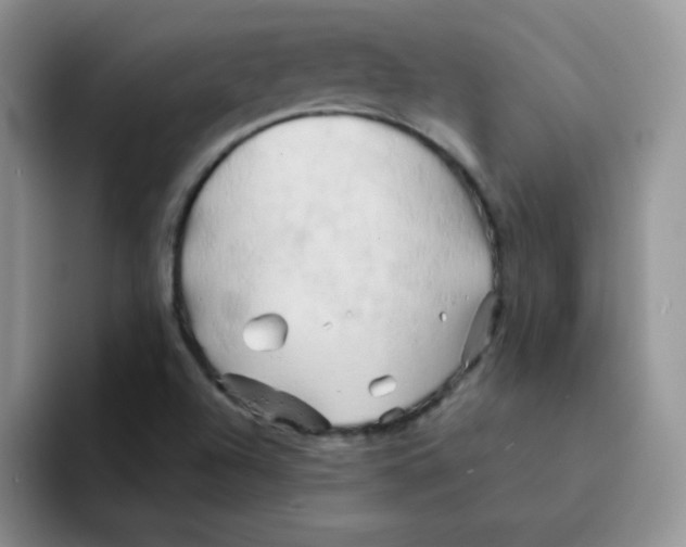 X0000091591504200709171124