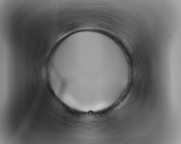 X0000091591505200709171124