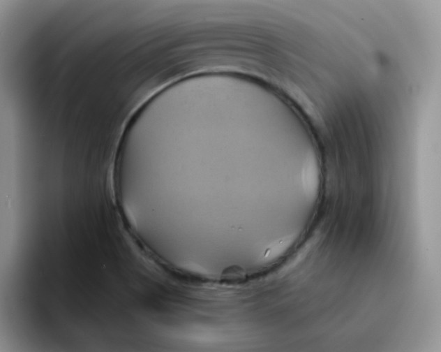 X0000091591513200709171125