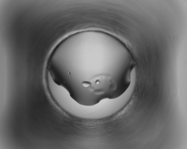 X0000091591518200709171125