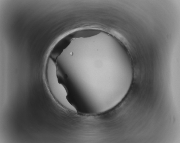 X0000091591520200709171125