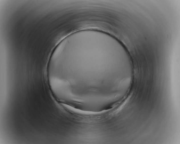 X0000091591521200709171125