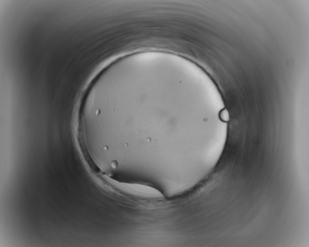 X0000091591523200709171125