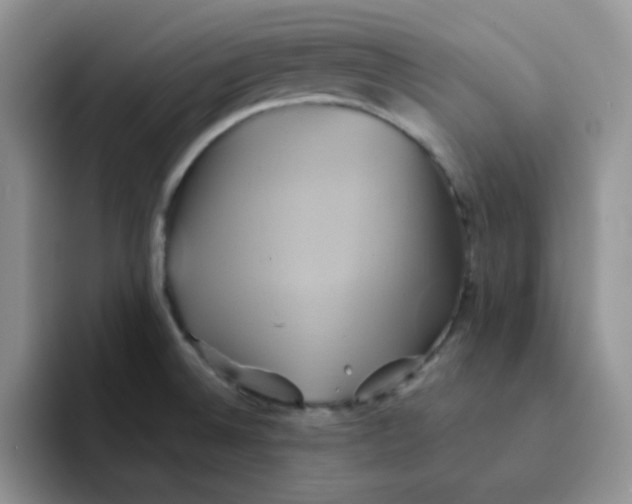 X0000091591524200709171125