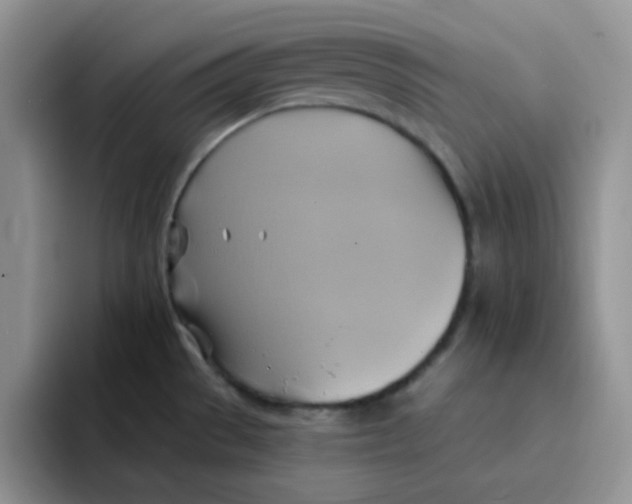 X0000091591529200709171125