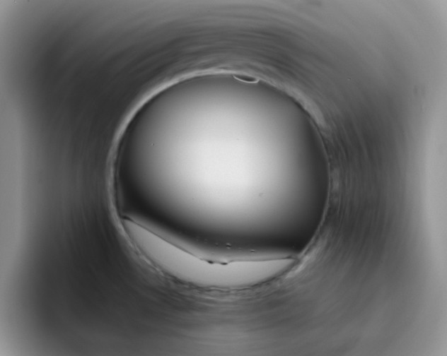 X0000091591530200709171125