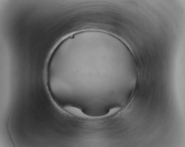 X0000091591531200709171125