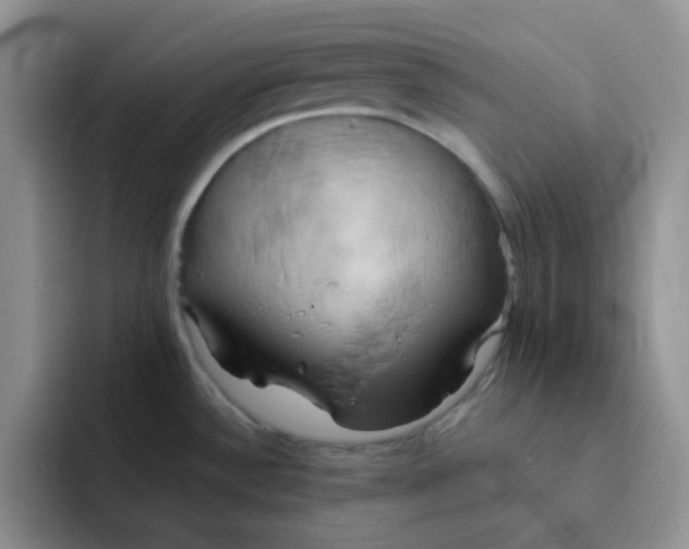 X0000091591532200709171125