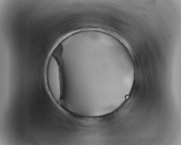 X0000091591533200709171125