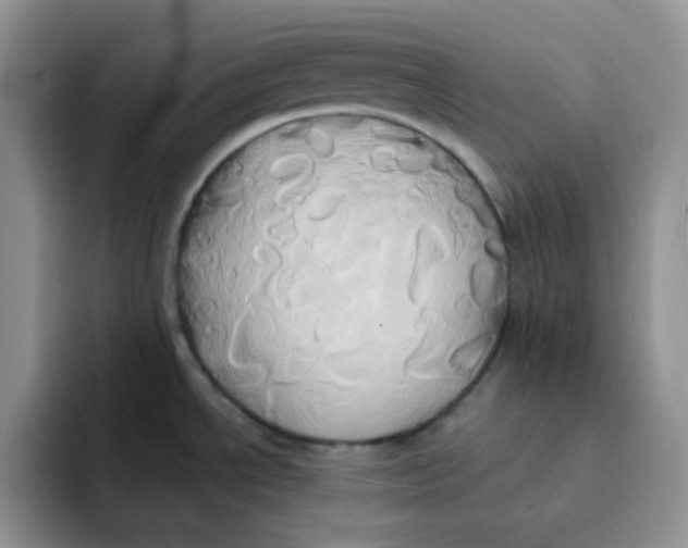 X0000091591534200709171125