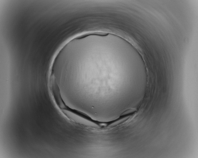 X0000091591536200709171125