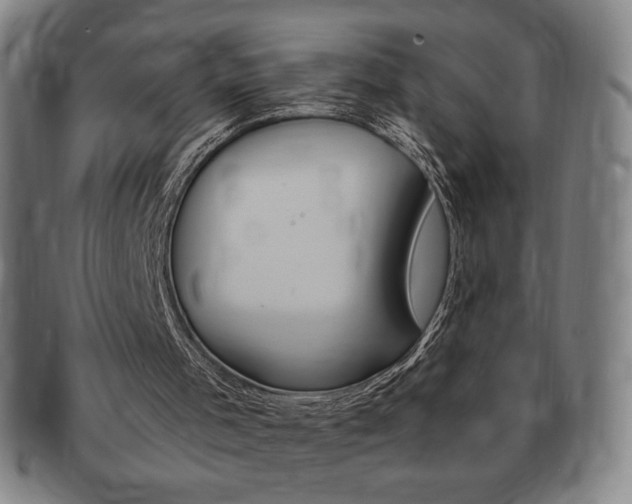 X0000091640001200708230958