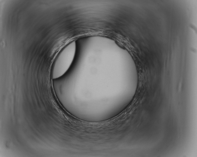 X0000091640002200708230958