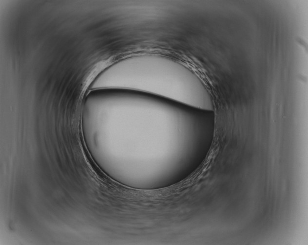 X0000091640003200708230958