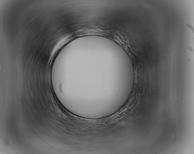 X0000091640004200708230958