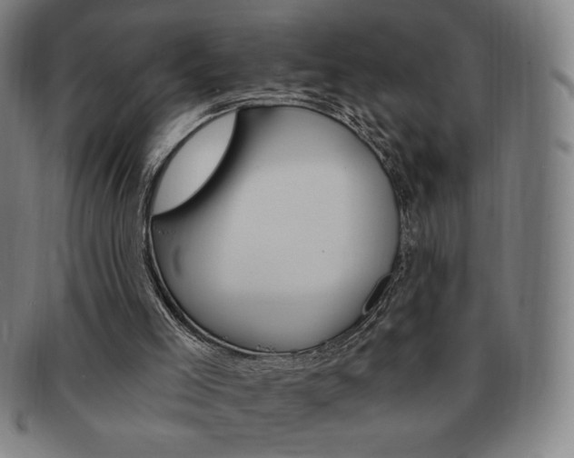 X0000091640005200708230958
