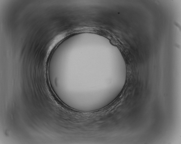X0000091640006200708230958
