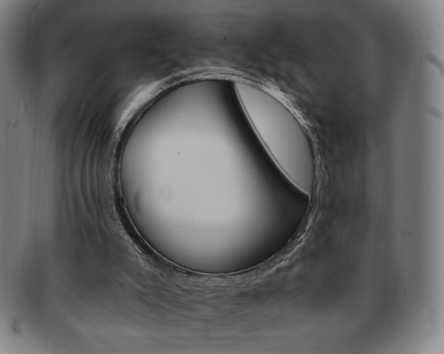X0000091640007200708230958