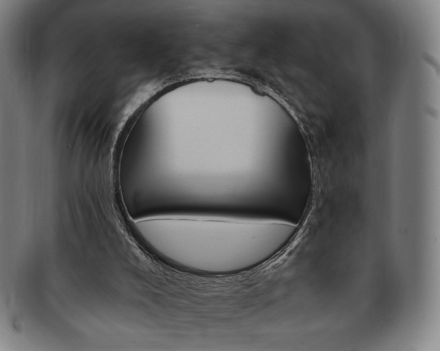 X0000091640008200708230958
