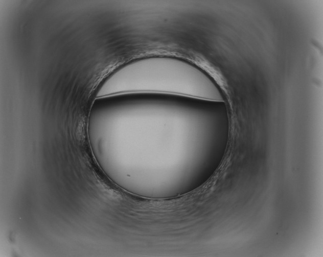 X0000091640009200708230958