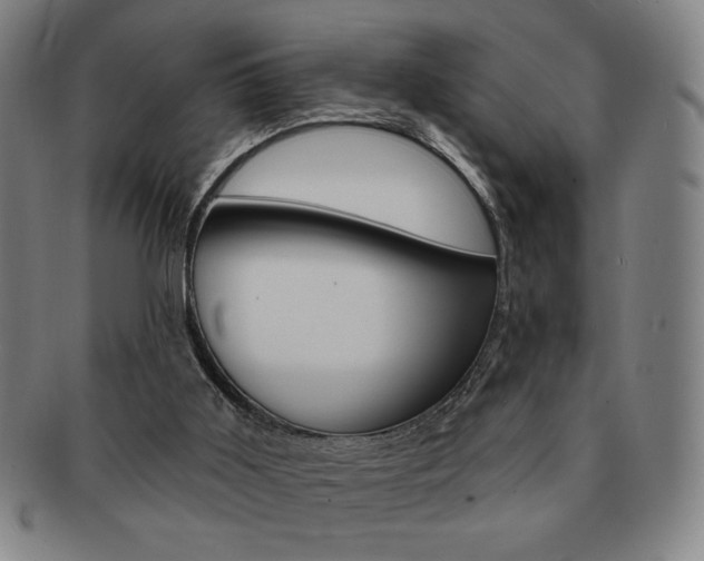 X0000091640011200708230958