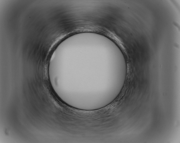 X0000091640012200708230958