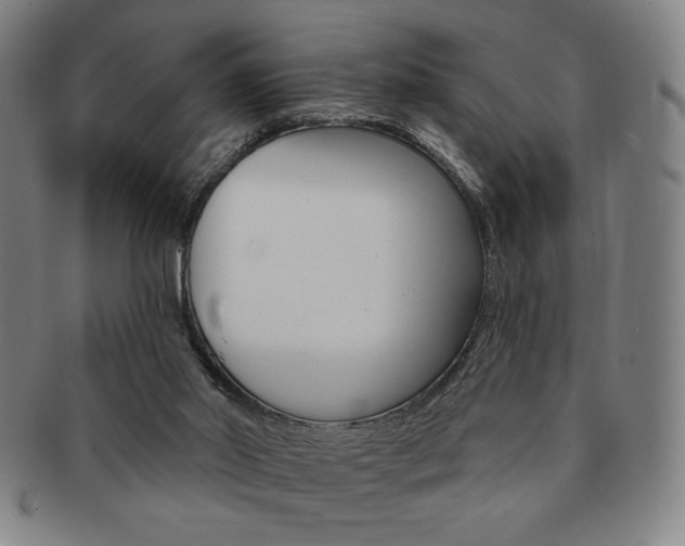 X0000091640014200708230958