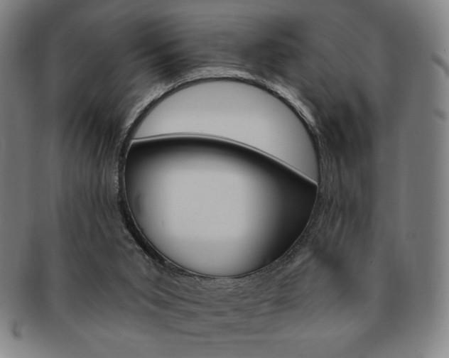 X0000091640015200708230958
