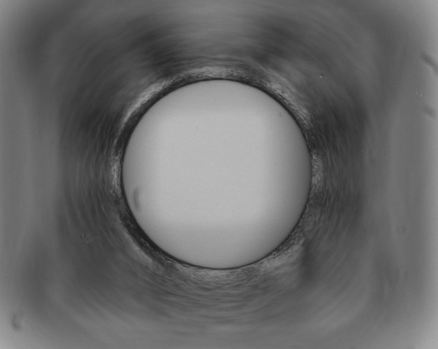 X0000091640016200708230958