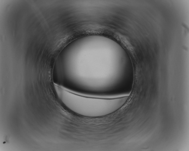 X0000091640017200708230958