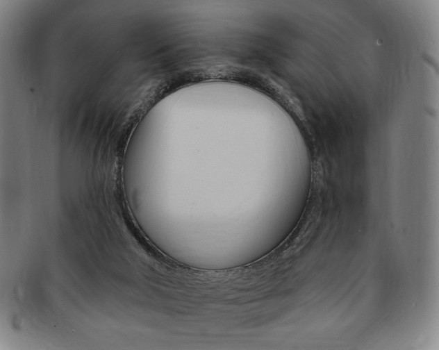 X0000091640018200708230958