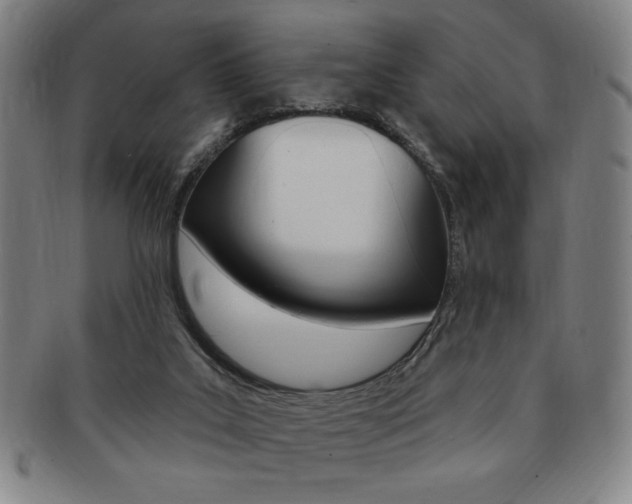 X0000091640019200708230958