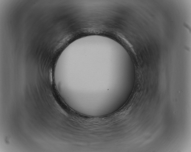 X0000091640020200708230958