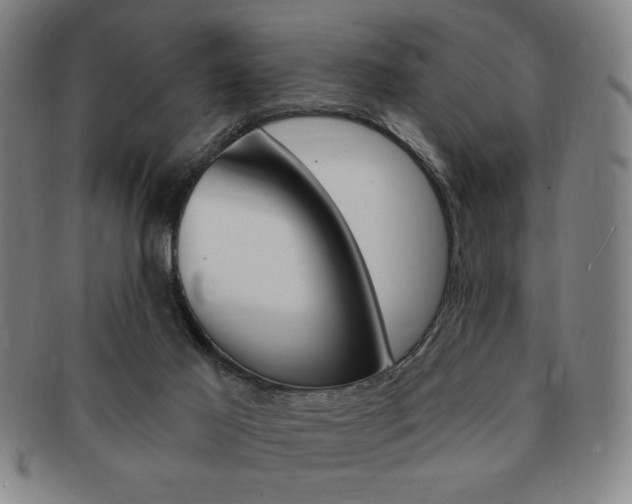X0000091640021200708230958