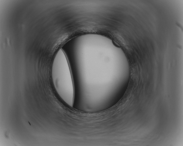 X0000091640023200708230958