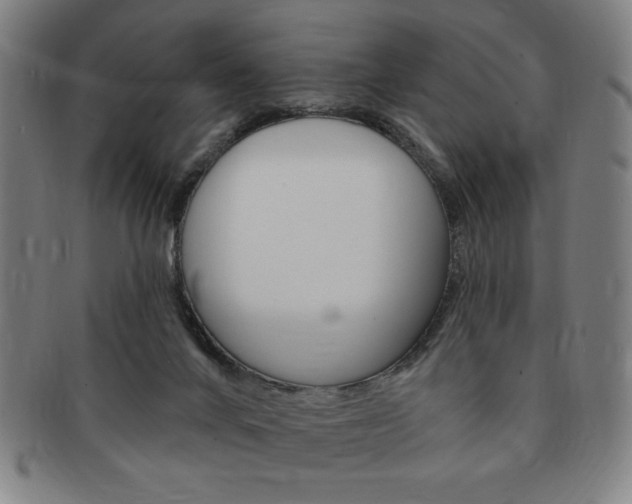 X0000091640024200708230958