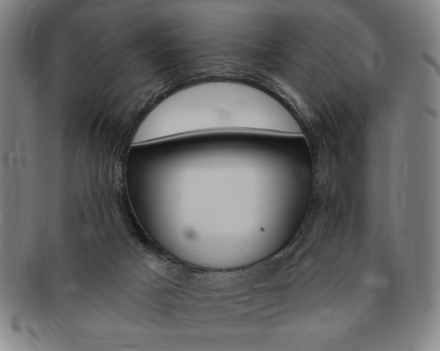 X0000091640025200708230958