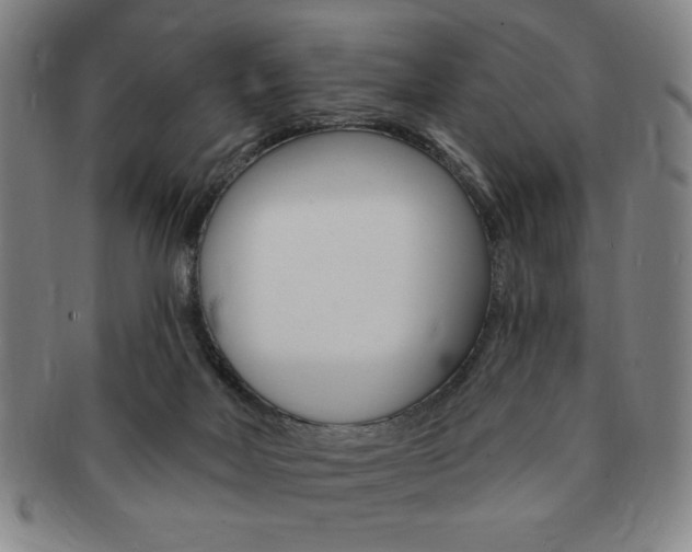X0000091640026200708230958